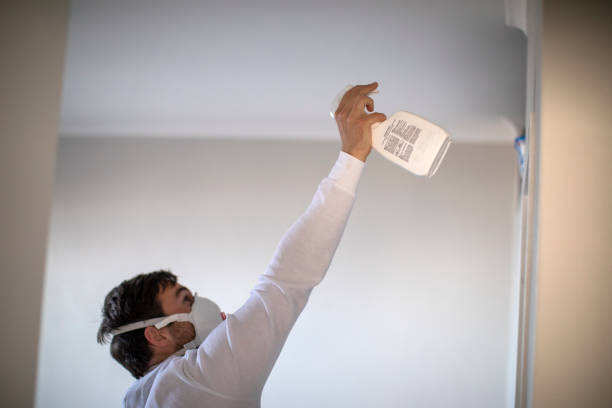 Best Professional Mold Removal  in Lake Montezuma, AZ